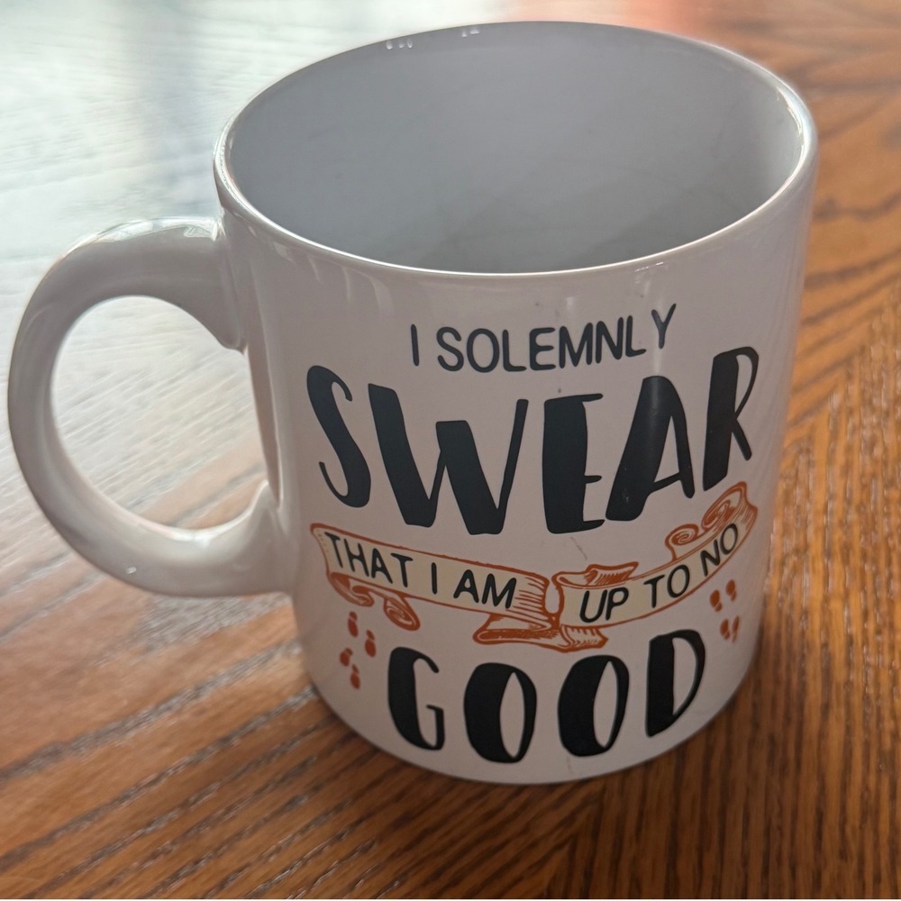 Harry Potter I Solemnly Swear 20oz Coffee Cup Mug Significant Use Silver Buffalo